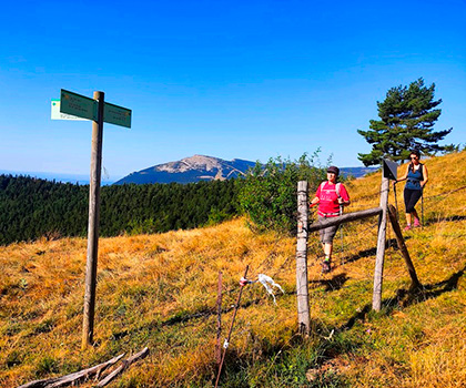 Coll de Mola