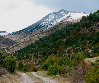 De Cerneres à El Collell